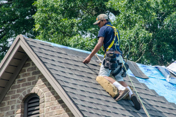 Professional Roofing Contractor in Cowan, TN
